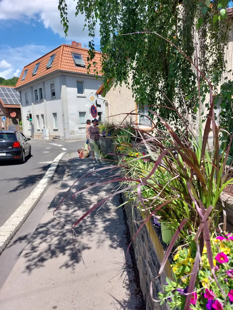 Pflanzaktion lässt Erwin-Zeitz-Brücke in Lorsbach wieder erblühen 3 Bruecke Lorsbach