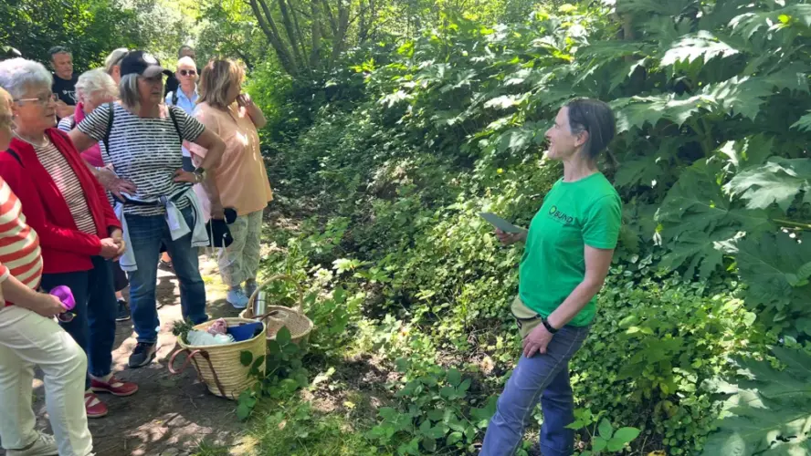 BUND & KräuterZeit laden zum Spaziergang im Stadtwald ein