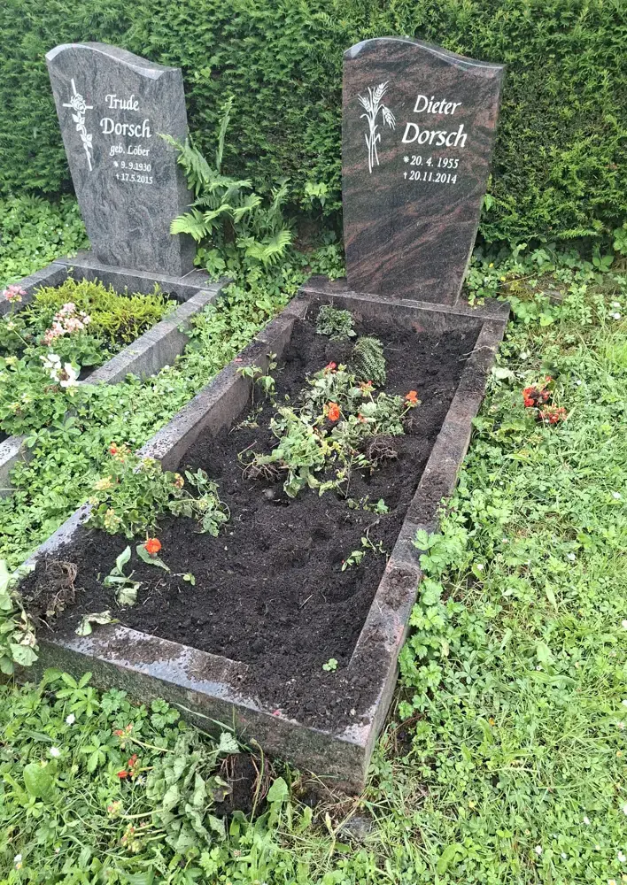 Zwischen Borstenvieh und Bürokratie: Viel Frust auf Hofheims Friedhöfen 3 Lorsbach 2 e1782196879859