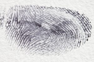 stux fingerprint 255900 1920