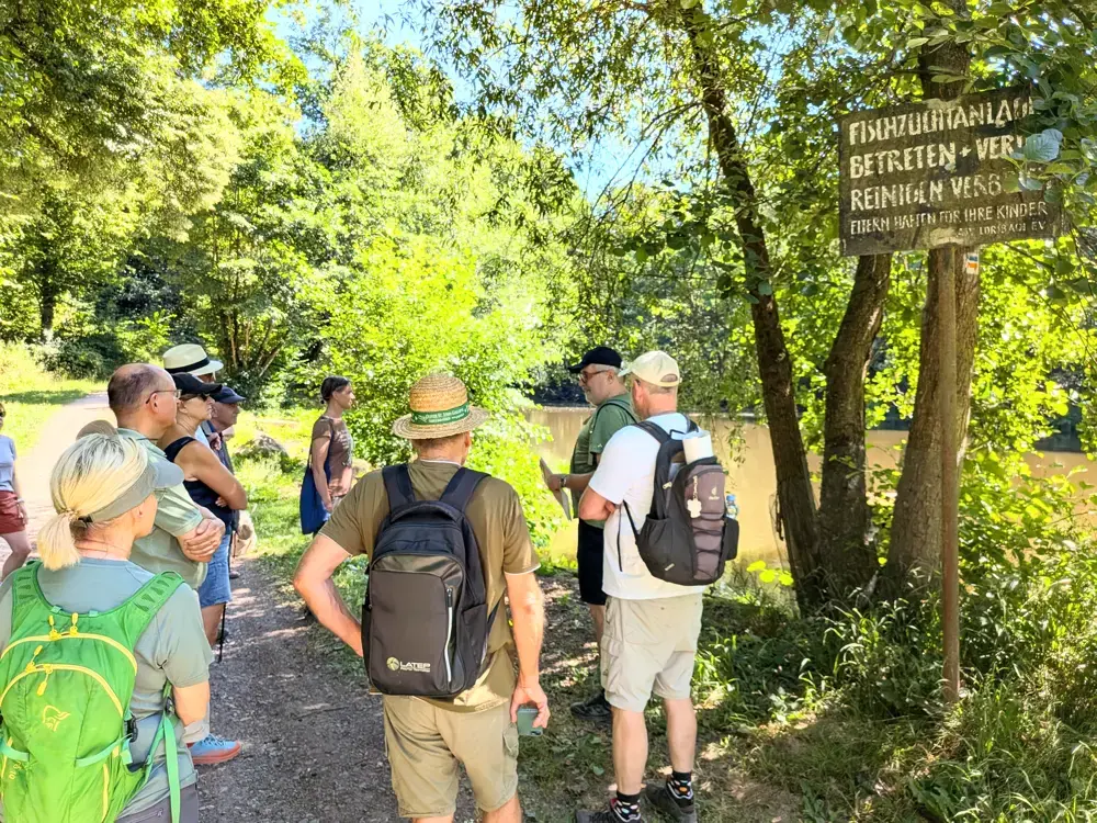 Zwischen Kriegsrelikt und Silber-Schatz: Wanderung durch Hofheims Geschichte