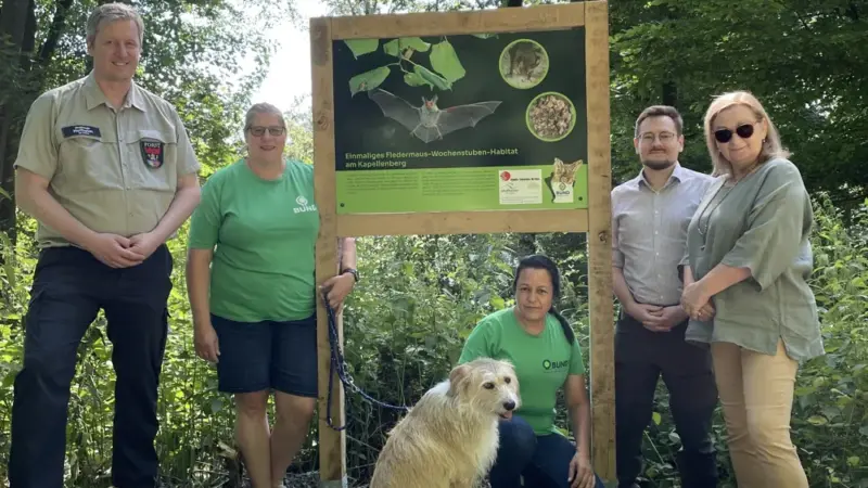 Neue Infotafeln zeigen die Fledermauswelt am Kapellenberg