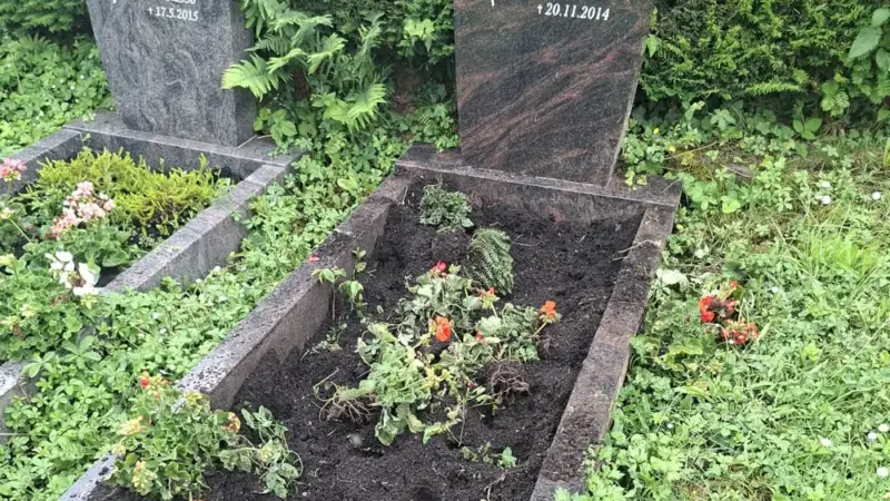 Schon wieder: Wildschweine verwüsten Gräber auf Lorsbacher Friedhof