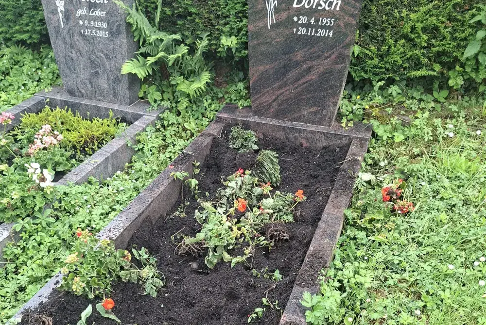 Schon wieder: Wildschweine verwüsten Gräber auf Lorsbacher Friedhof