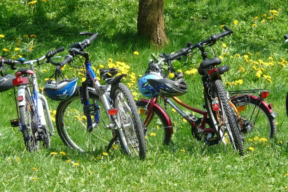 Hofheimer Stadtradeln: 489 Radler legen 84.371 Kilometer zurück