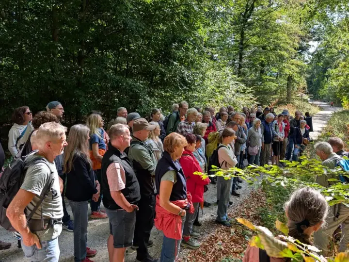 Das unsichtbare Fundament des Waldes: „Waldwärts!“ lud zum „Walk & Talk“ ein