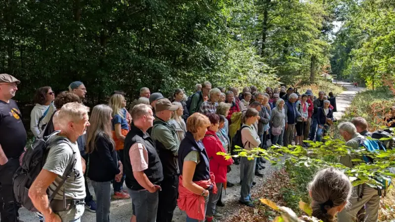 Das unsichtbare Fundament des Waldes: „Waldwärts!“ lud zum „Walk & Talk“ ein
