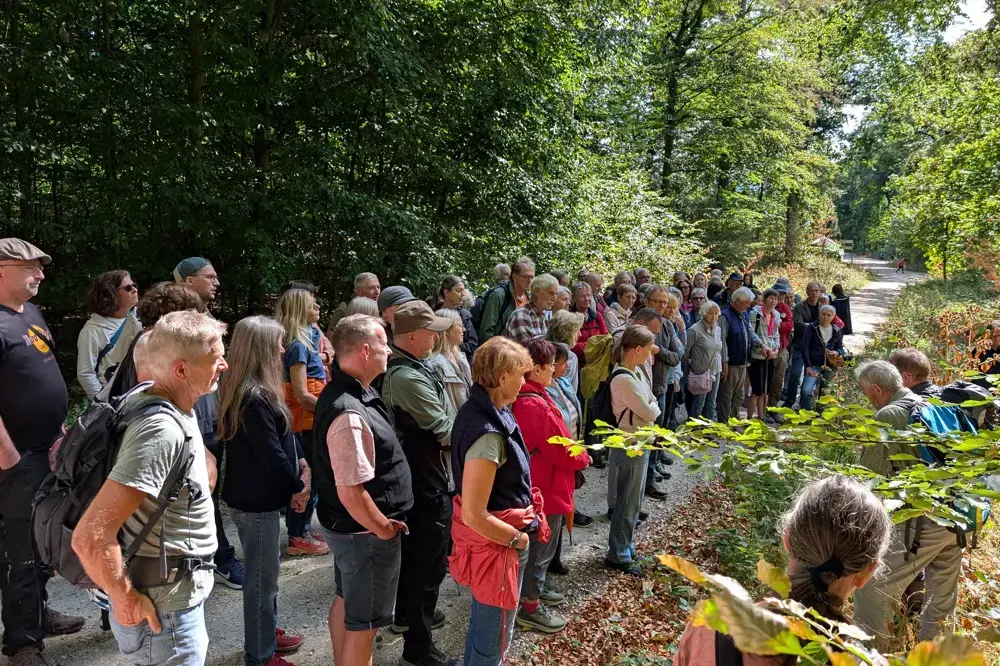 Das unsichtbare Fundament des Waldes: „Waldwärts!“ lud zum „Walk & Talk“ ein