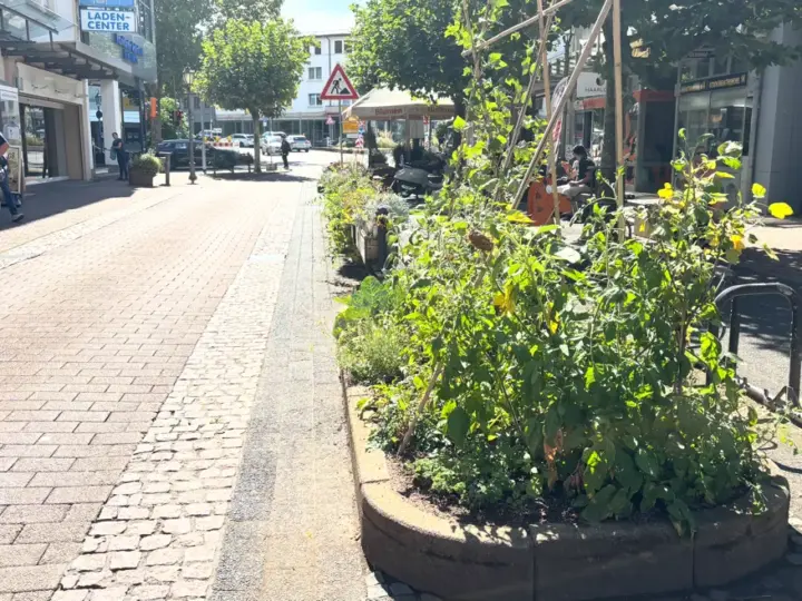 Aufruf zum Mitmachen: Hofheim sucht engagierte Bürger für innovative Stadtnatur
