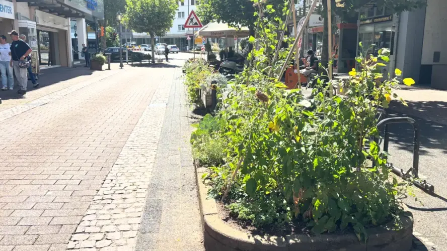 Aufruf zum Mitmachen: Hofheim sucht engagierte Bürger für innovative Stadtnatur