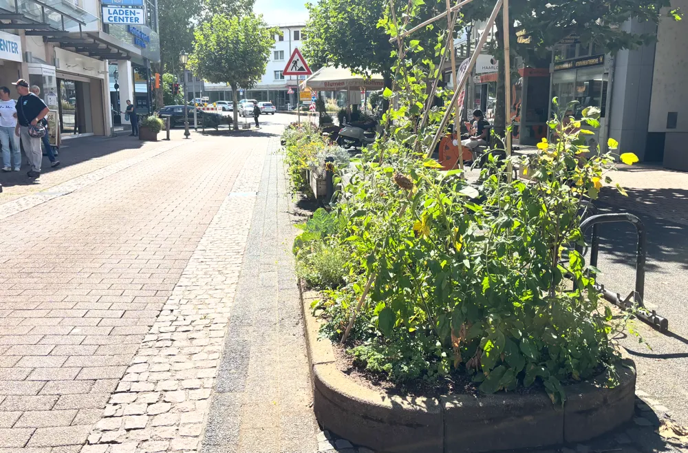 Aufruf zum Mitmachen: Hofheim sucht engagierte Bürger für innovative Stadtnatur