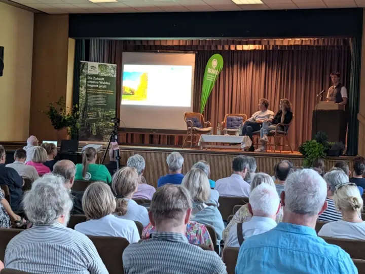 Naturwald oder Wirtschaftswald? Wie Hofheim von der „KlimaWildnis“ profitieren könnte
