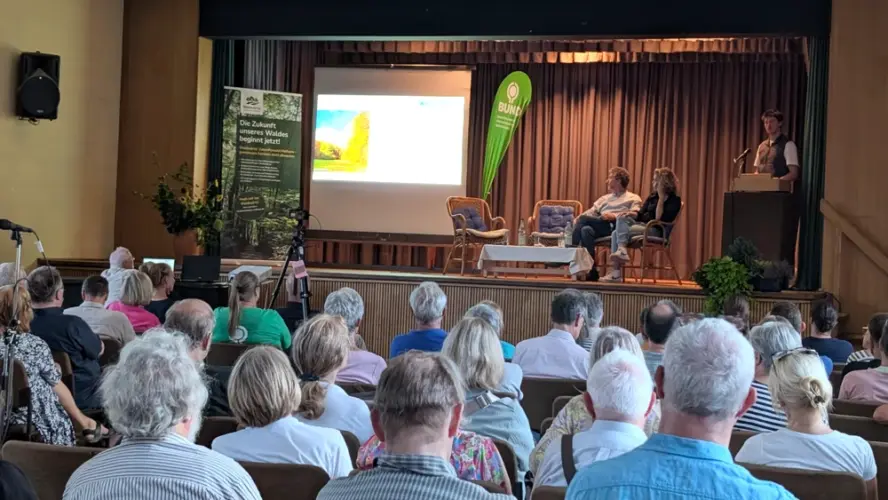 Naturwald oder Wirtschaftswald? Wie Hofheim von der „KlimaWildnis“ profitieren könnte