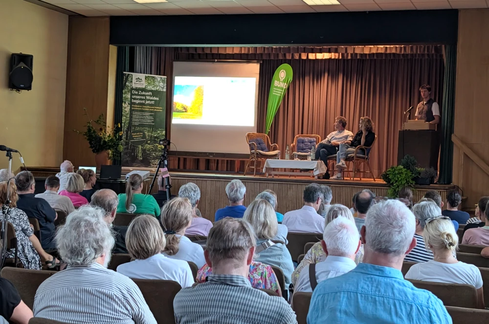 Naturwald oder Wirtschaftswald? Wie Hofheim von der „KlimaWildnis“ profitieren könnte
