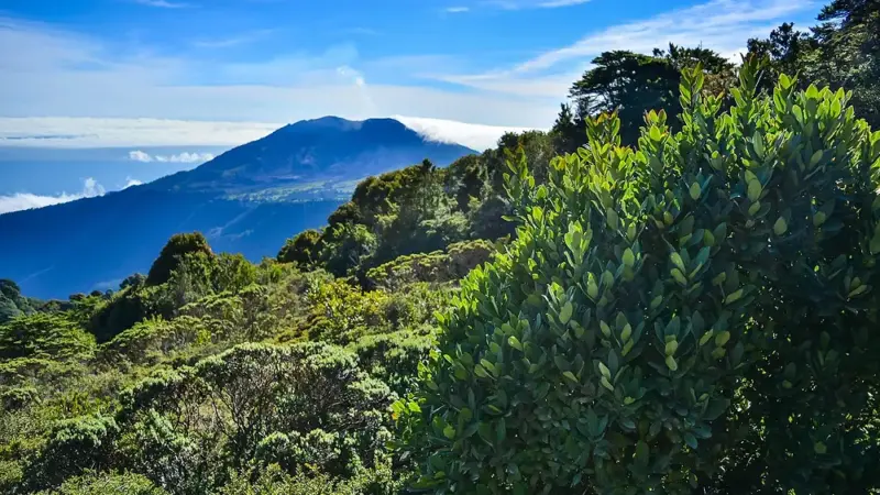 Costa Rica entdecken: SNH und vivahola laden zum Reise-Infoabend ein