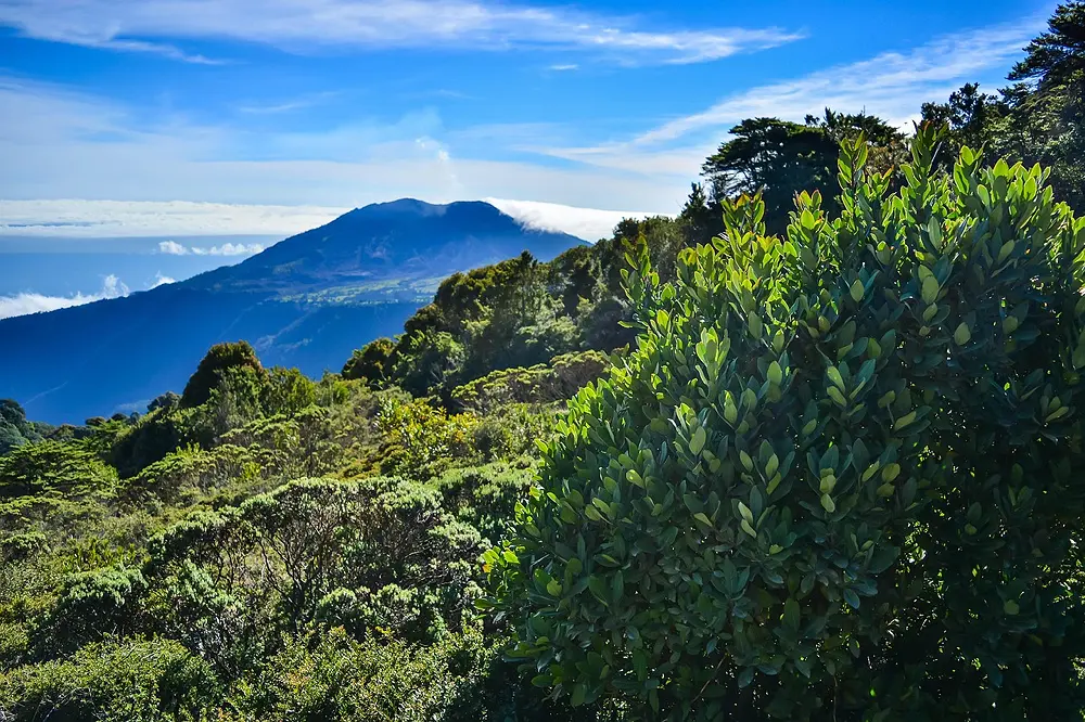 Costa Rica entdecken: SNH und vivahola laden zum Reise-Infoabend ein