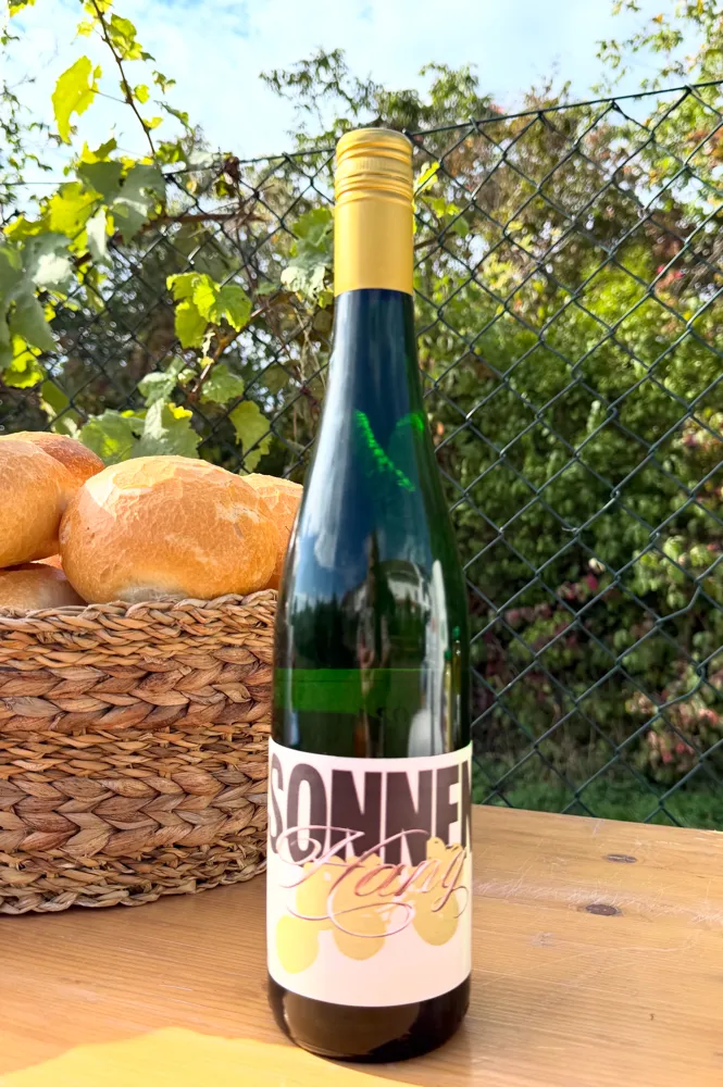 Spitzenqualität am Diedenbergener Sonnenhang – Weinlese bringt 700 Flaschen 2 Wein