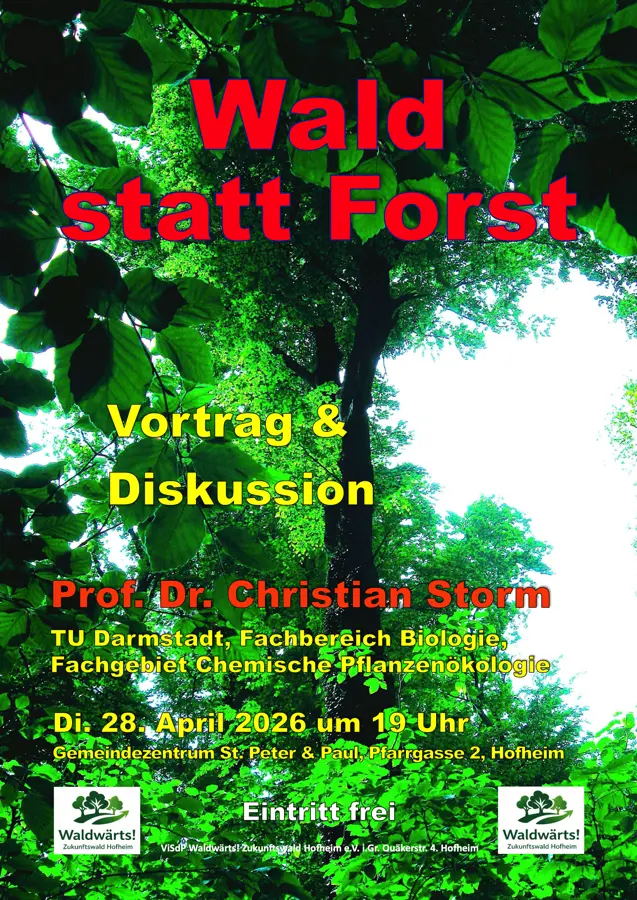 Neuer Verein setzt sich für naturnahen und zukunftsfähigen Stadtwald ein 2 wald