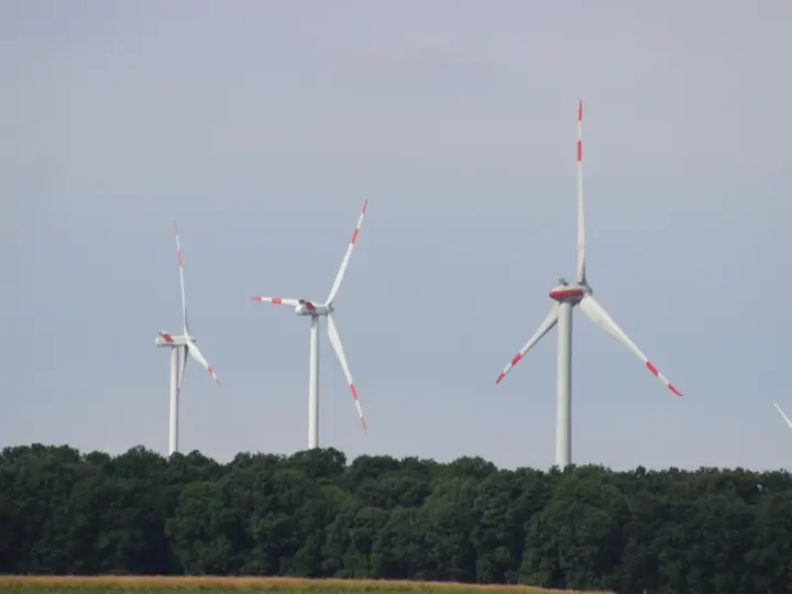 Windräder im Stadtwald: Bricht Hofheims Geldnot ein politisches Tabu?