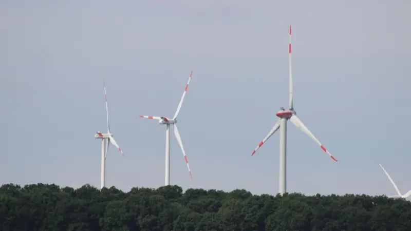 Windräder im Stadtwald: Bricht Hofheims Geldnot ein politisches Tabu?