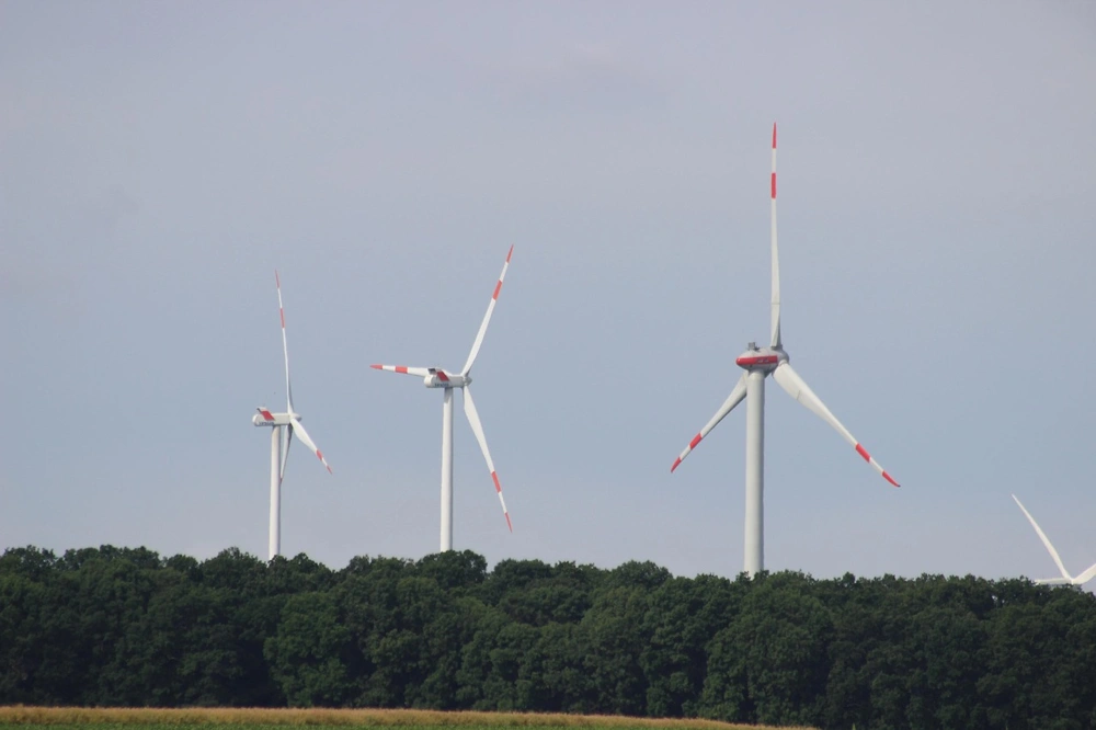 Windräder im Stadtwald: Bricht Hofheims Geldnot ein politisches Tabu?