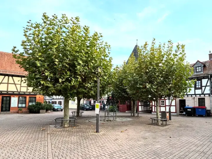 Taktlos am Tivertonplatz: Wie eine politische Debatte über Außengastronomie entgleist
