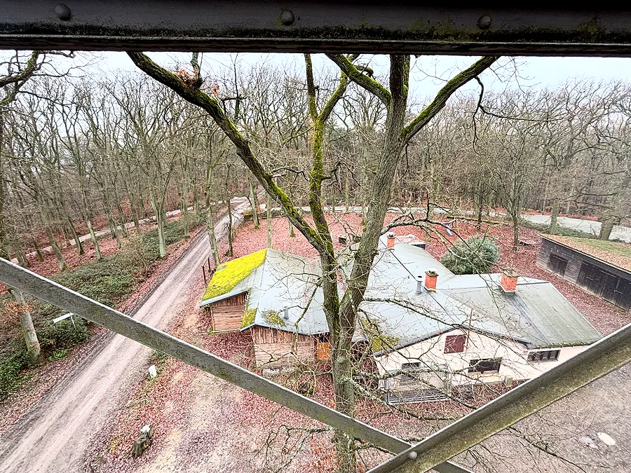 Waldgaststätte Meisterturm: Die erste Abrissgenehmigung liegt jetzt vor 3 14 Von oben