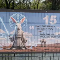 Zwischen Hochglanz und Herz: Abi-Plakate 2026 in Hofheim 34